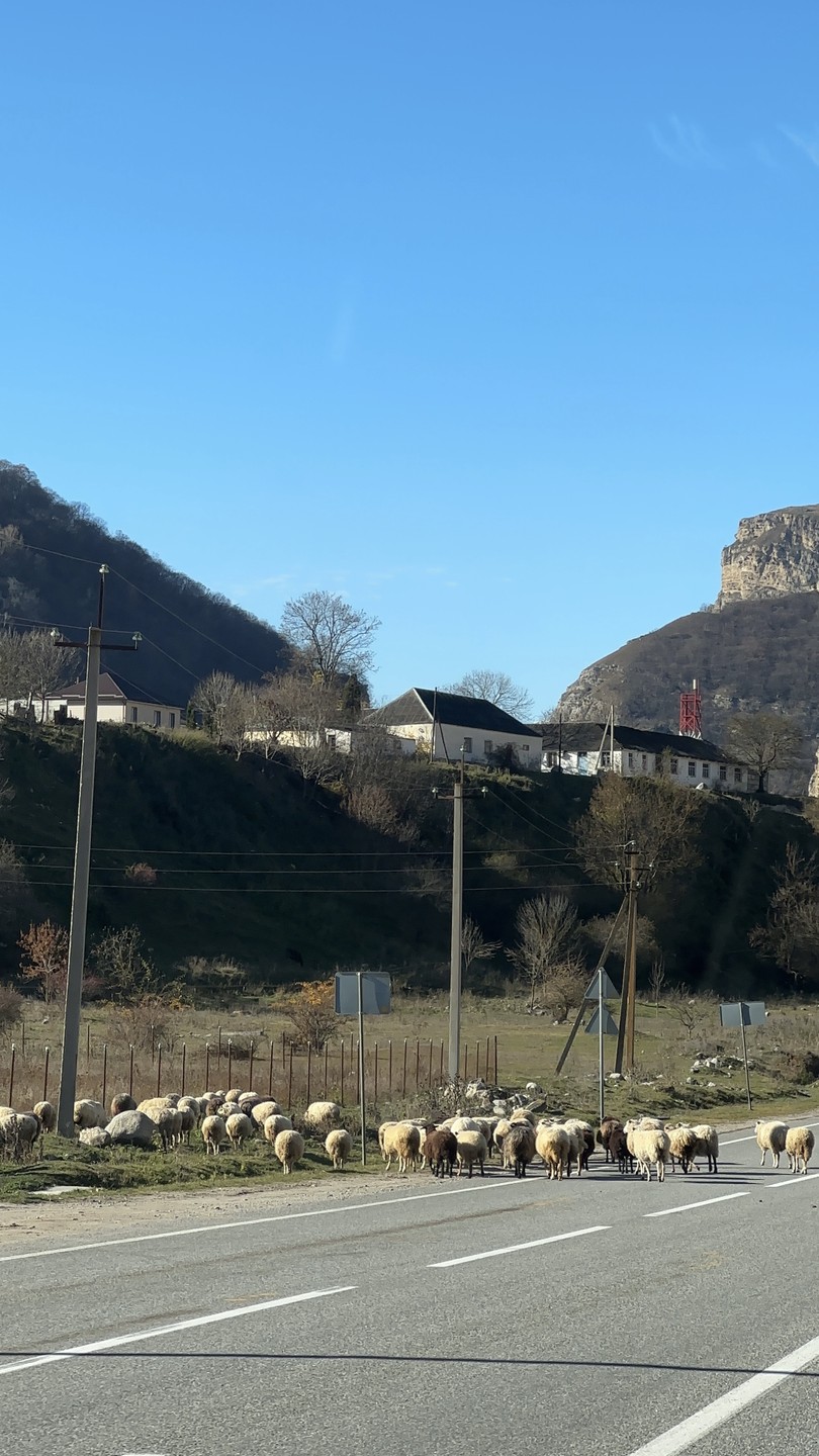 Огромное спасибо Максиму за тур! День пролетел незаметно: экскурсия и трансфер, виды и еда - все