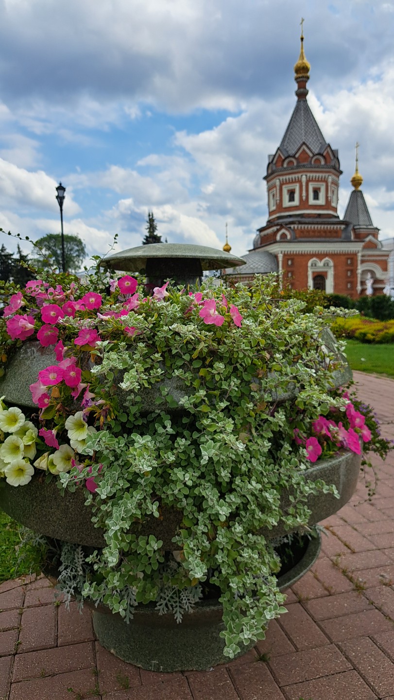 Первые шаги в Ярославле (Лиана)