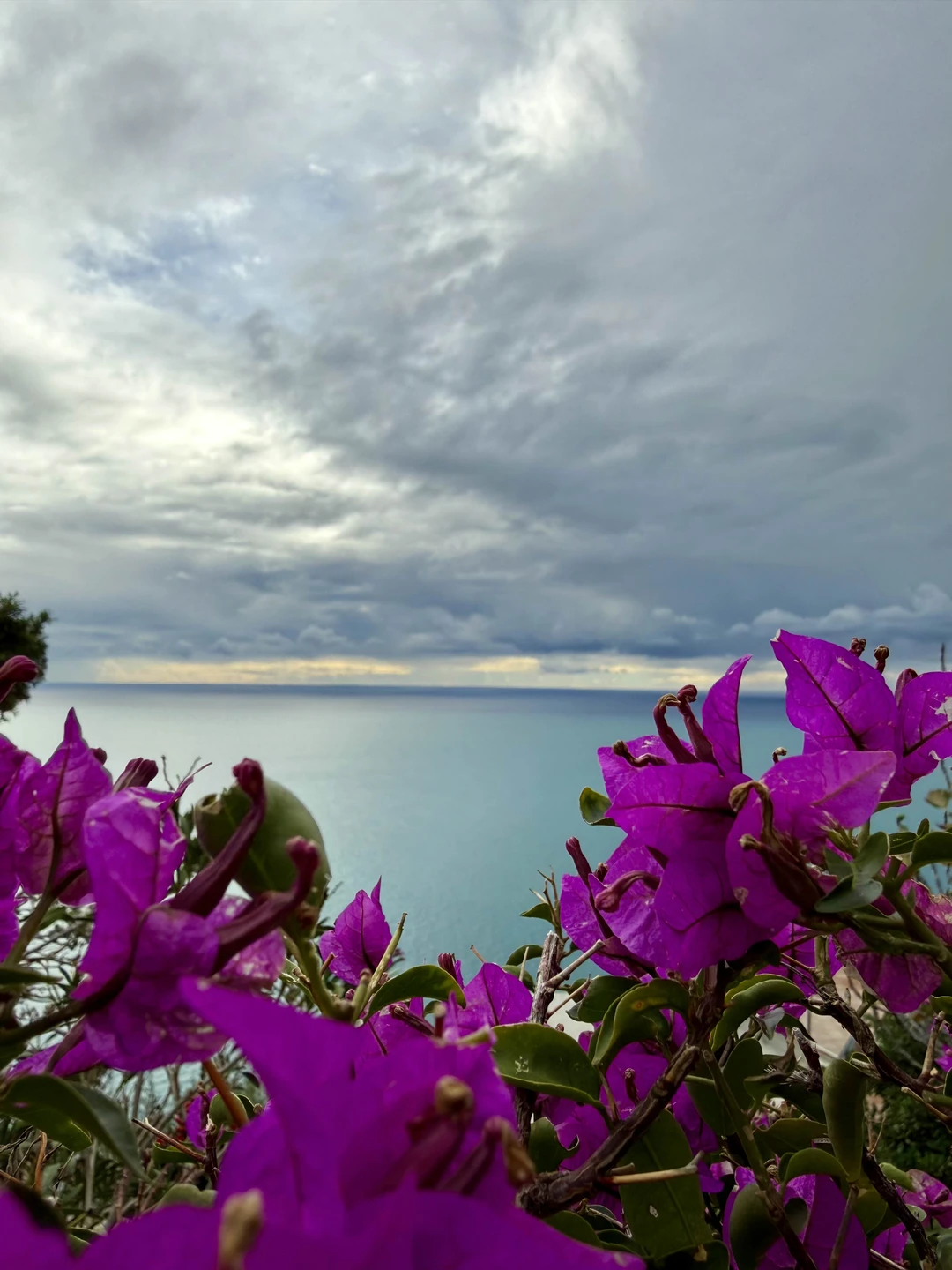 Сергей, спасибо за потрясающее знакомство с Амальфитанским побережьем!! Это было интересно, красиво 😻 и очень комфортно