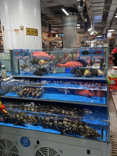 Столько эмоций сколько осталось у нас после данной экскурсии, невозможно даже описать. Мы очень благодарны за