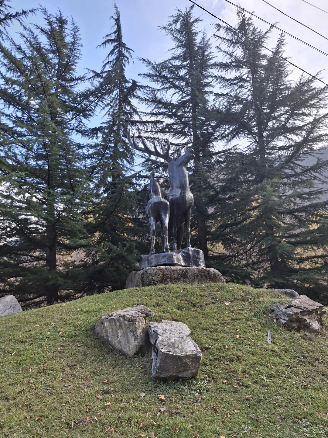 Мы ездили вместе с Эмилей, очень понравилась экскурсия, гид профессионал своего дела. Водитель умничка, весь серпантин