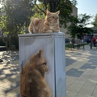 Фото туриста Кирилл 5 - Куршская коса + Янтарный, Светлогорск и Зеленоградск (из Светлогорска)
