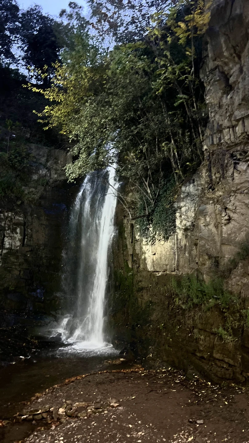 Из Тбилиси - в Кахетию на весь день: вино, храмы и Сигнахи (Ольга)