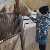 Фото отзыва 2: экскурсия "Знакомство с конным наследием России"