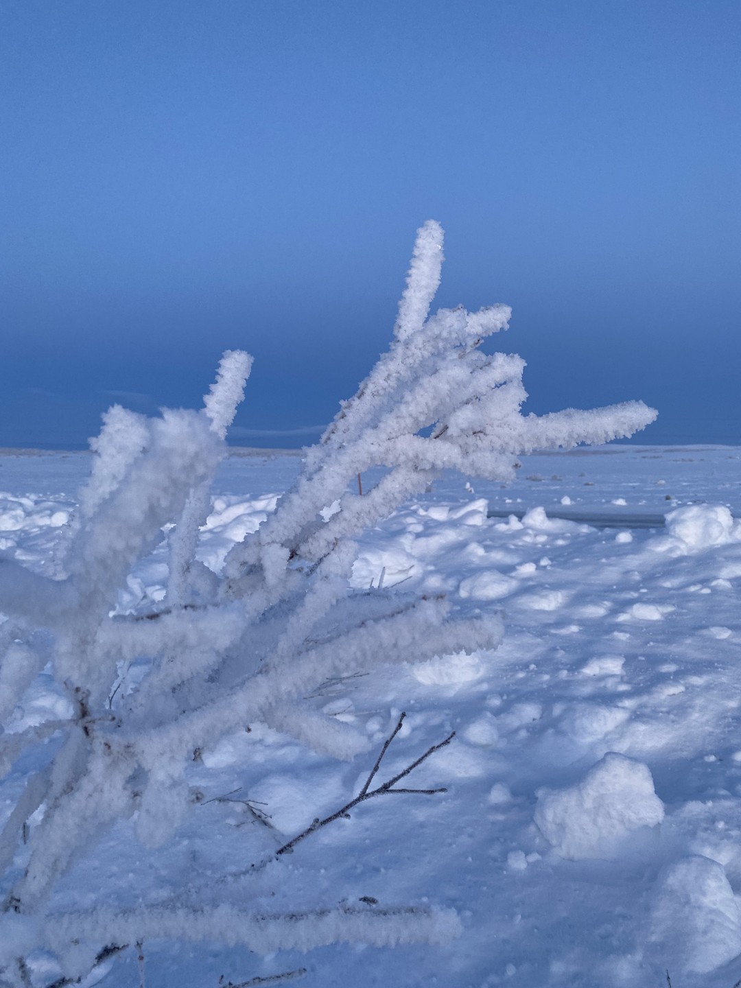 С Алексеем получился эксклюзив! Если большинство ходили группами по стандартным маршрутам, то мне посчастливилось увидеть дикую