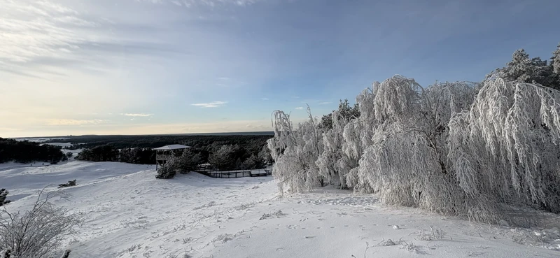 Куршская коса, Зеленоградск и замок Нессельбек - влюбиться за один день