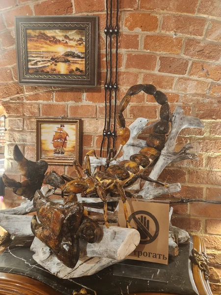 Калининград: самый смак за 3 часа (Гуляева)