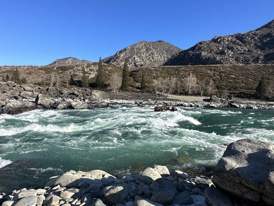 С Инессой ехать само удовольствие! Очень общительная и интересная женщина. Как водитель превосходно чувствует дорогу, как