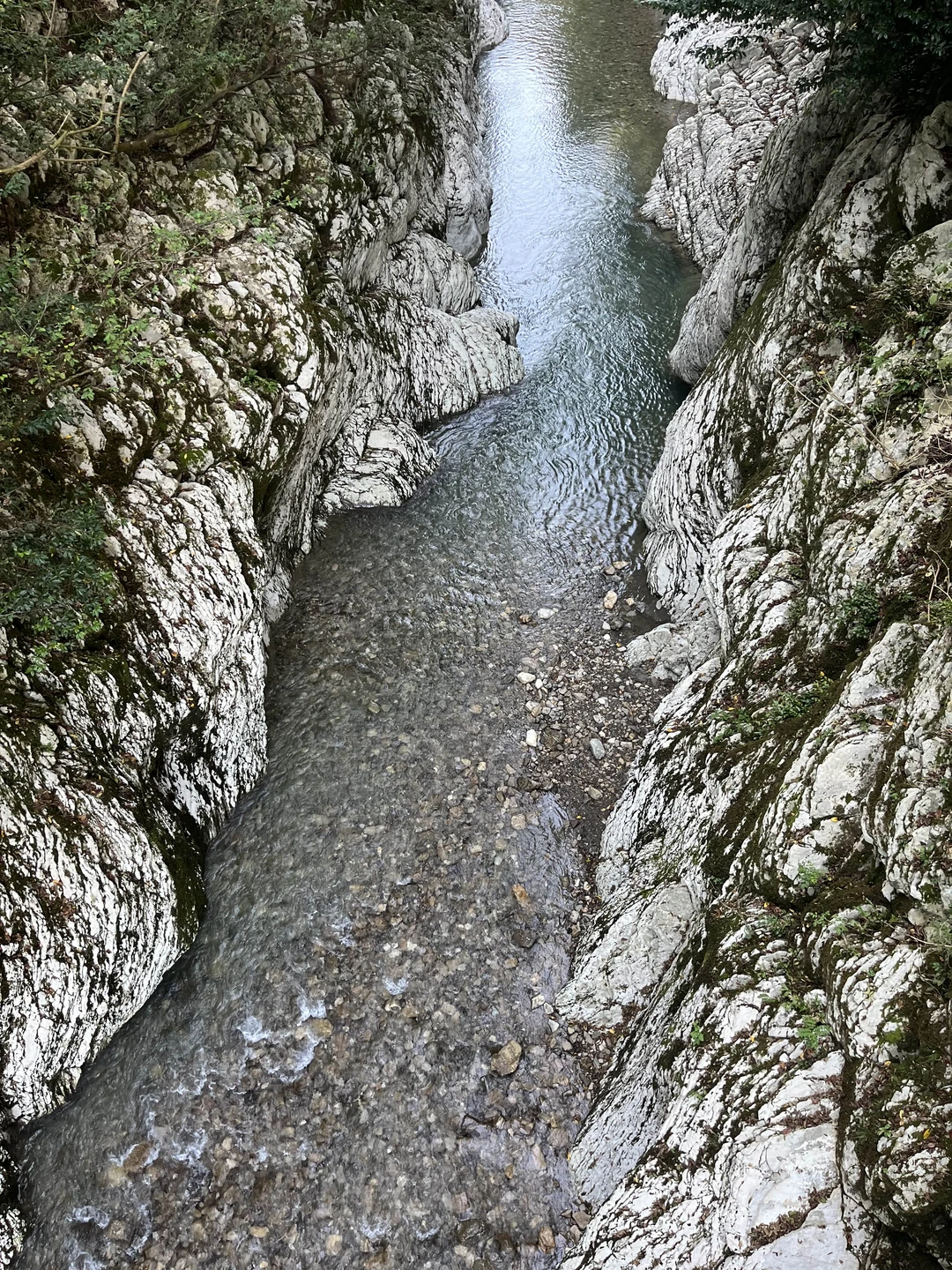 Экскурсия отличная, понравилась 👍🏼 рекомендуем!