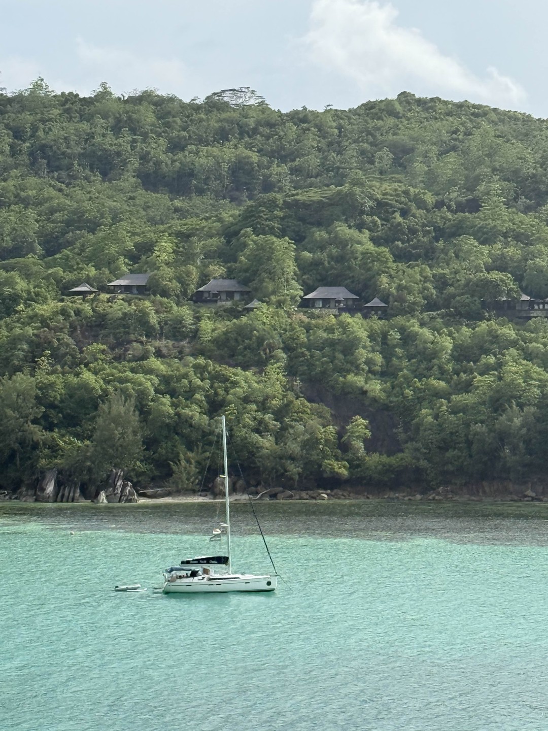 С большим удовольствием пишу этот отзыв