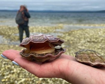 Прогулка на каяках, бухты Аэродромная и Димитриева