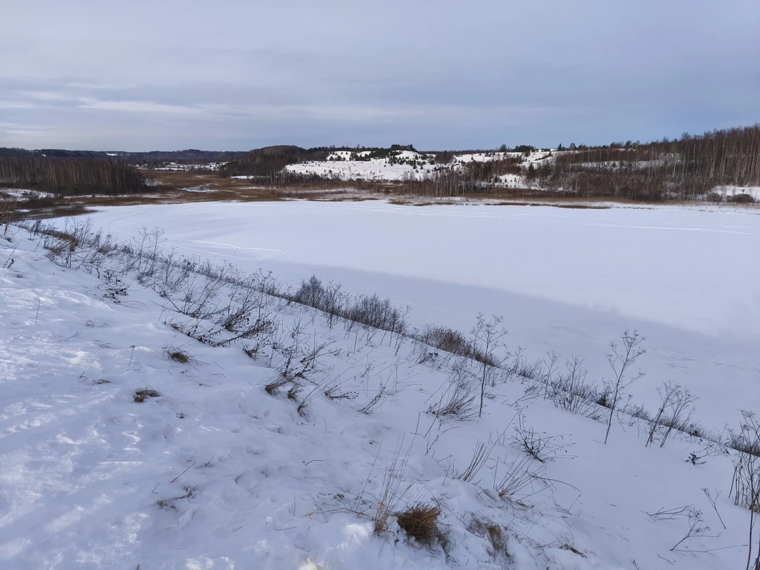 Проводили длинные выходные 23 февраля с друзьями на Псковщине, не могли миновать Изборск. Благодаря Алене почувствовали