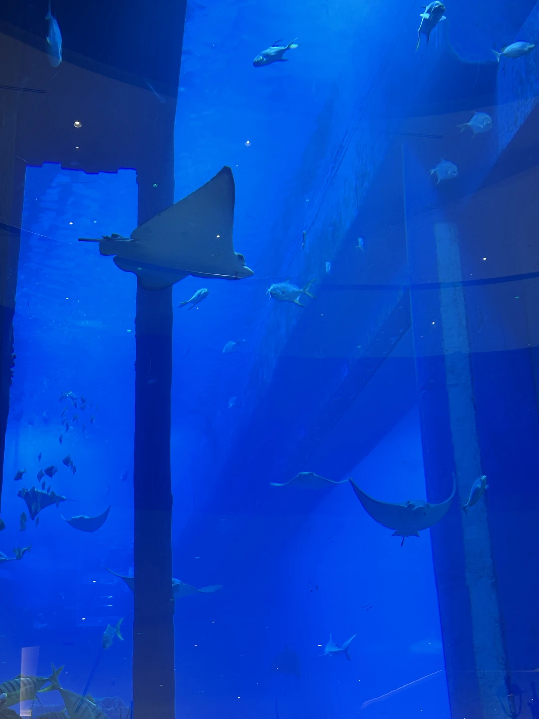 Очень понравилась экскурсия с Умаром! Приехал, забрал нас на машине из отеля, без опозданий, без задержек