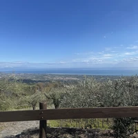 Фото отзыва 3: экскурсия "Этна в бокале вина"