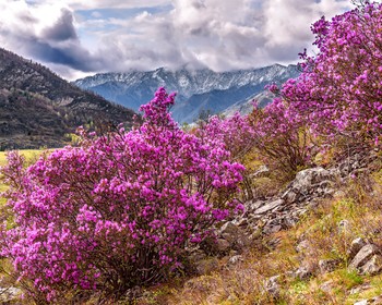 Чуйский тракт, Гейзерное озеро и пикник на берегу Катуни