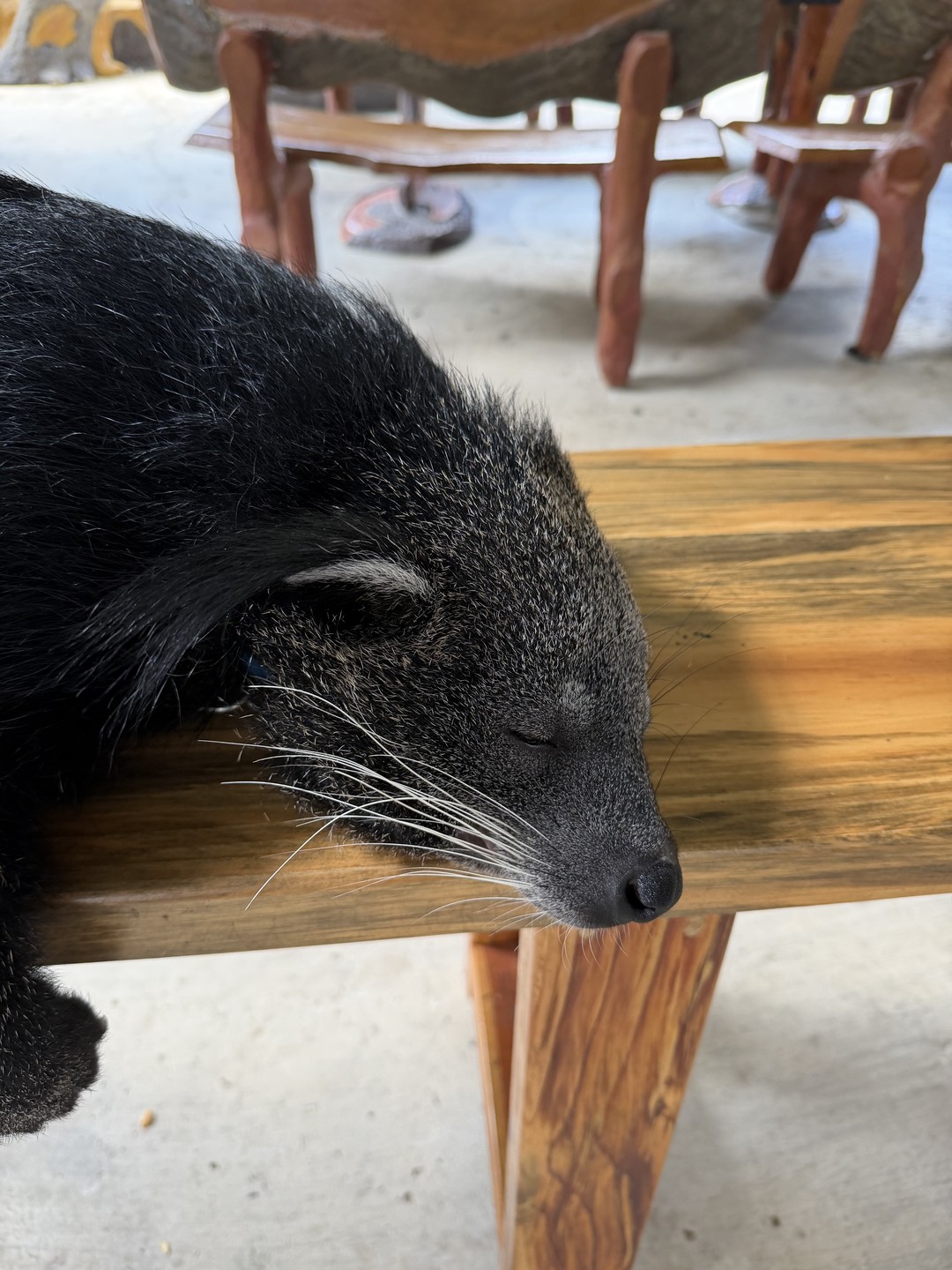 Экскурсия очень понравилась.