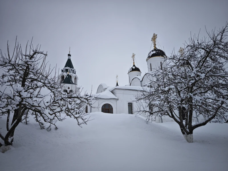 Отзыв хочется начать с благодарности: Елена, огромное спасибо Вам за то, что учли все наши пожелания
