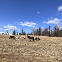 Фото отзыва 3: экскурсия "Джип-тур по северу острова Ольхон"