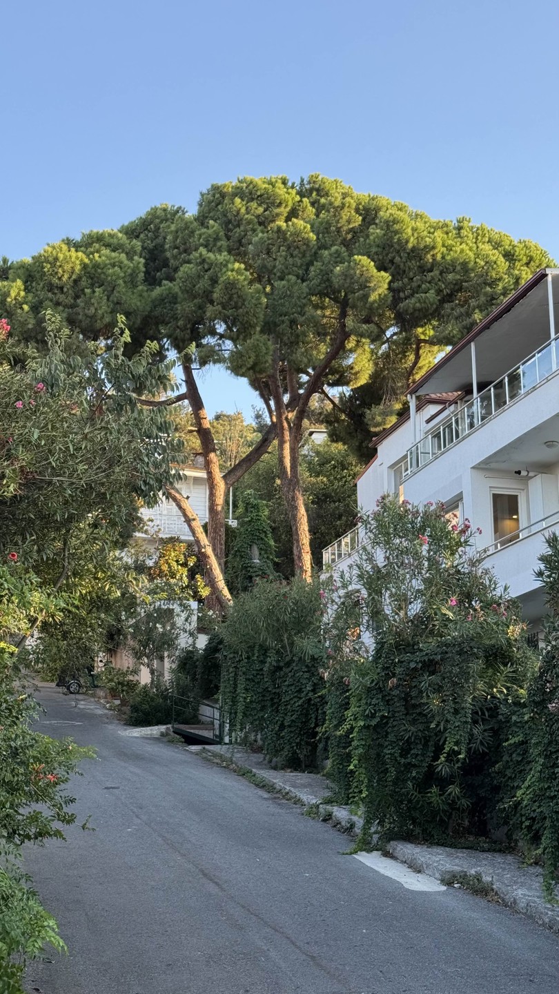 Из Стамбула - на Принцевы острова (Анджела)