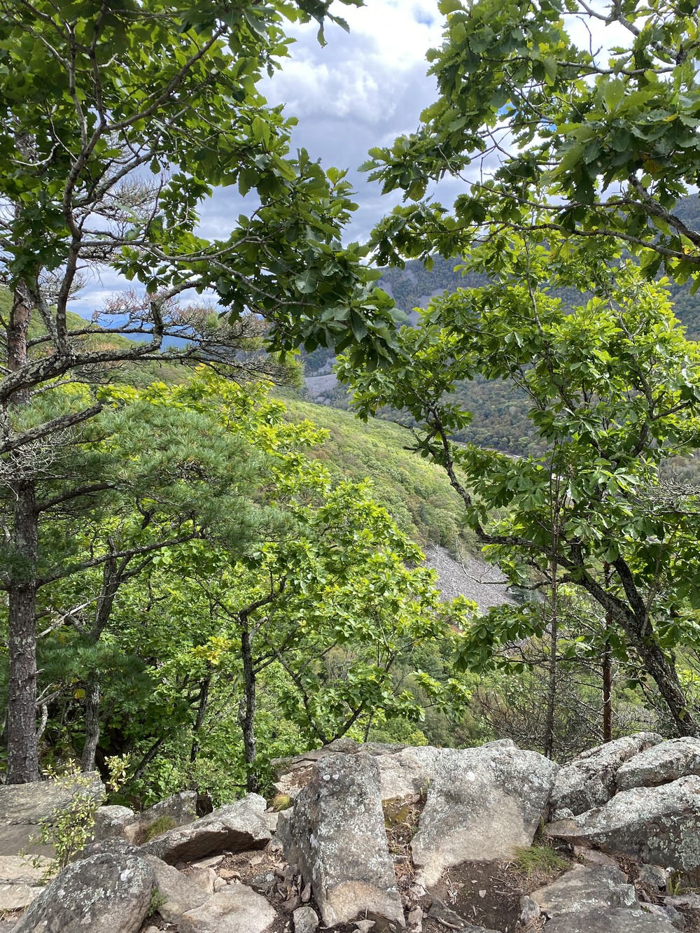 Ущелье Дарданеллы из Владивостока: река, тайга и горы (16/23)