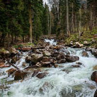 Фото отзыва 1: экскурсия "Домбай: путь к вершинам Кавказа (из Пятигорска)"