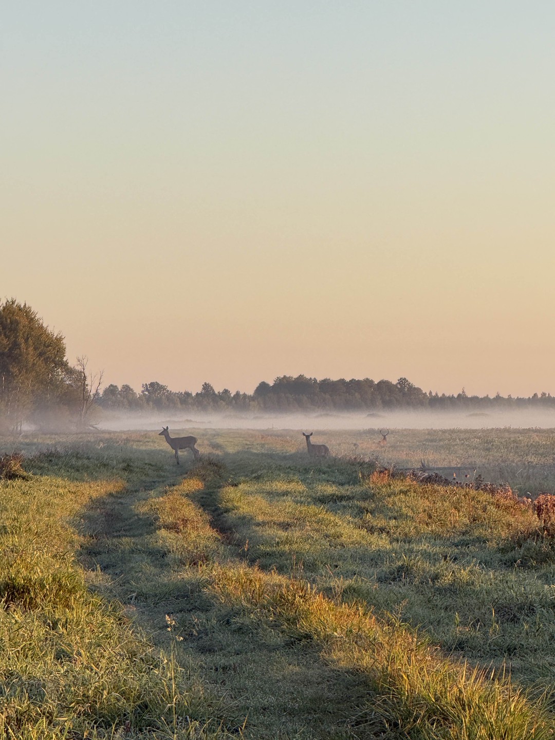 Данной экскурсией остались довольны! С непривычки так рано вставать было непросто, но это того однозначно стоило