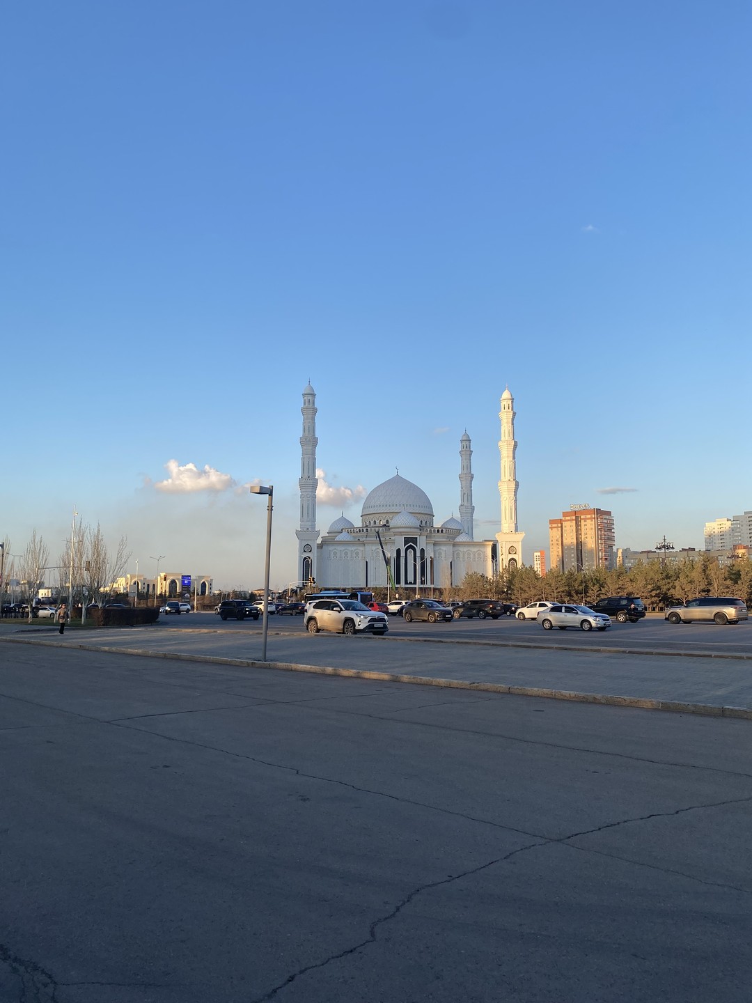 Все прошло замечательно. У нас была длительная пересадка в Астане, около 7 часов, и мы решили