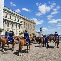 Фото путешественника — 5