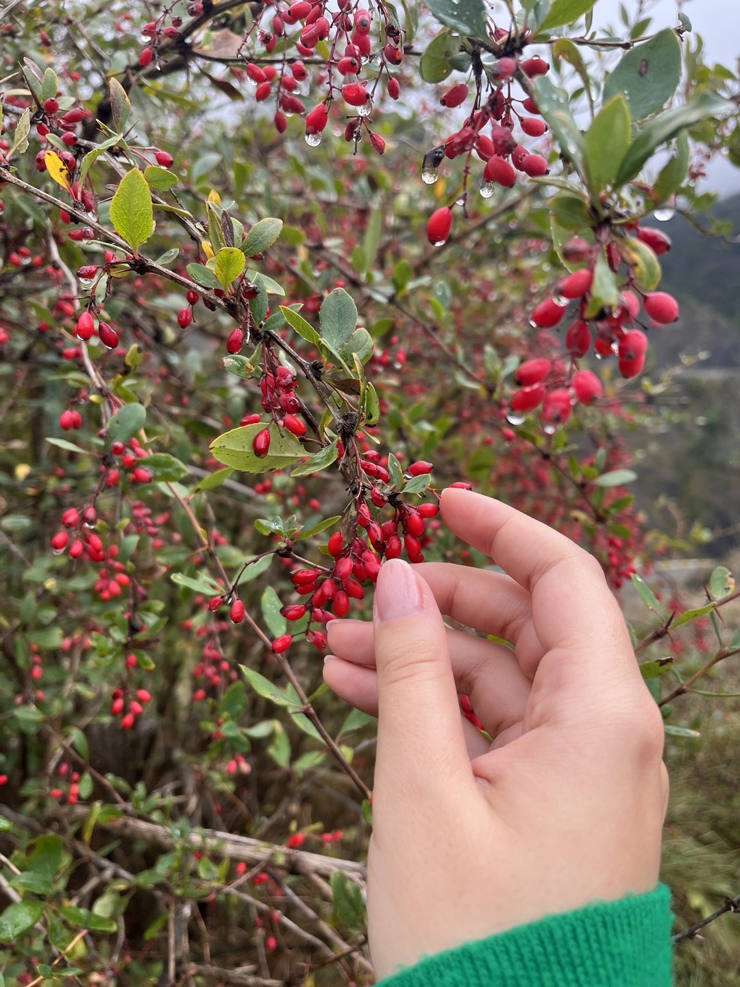 Не смотря на то, что нам не повезло с погодой (весь день было пасмурно, местами дождь)