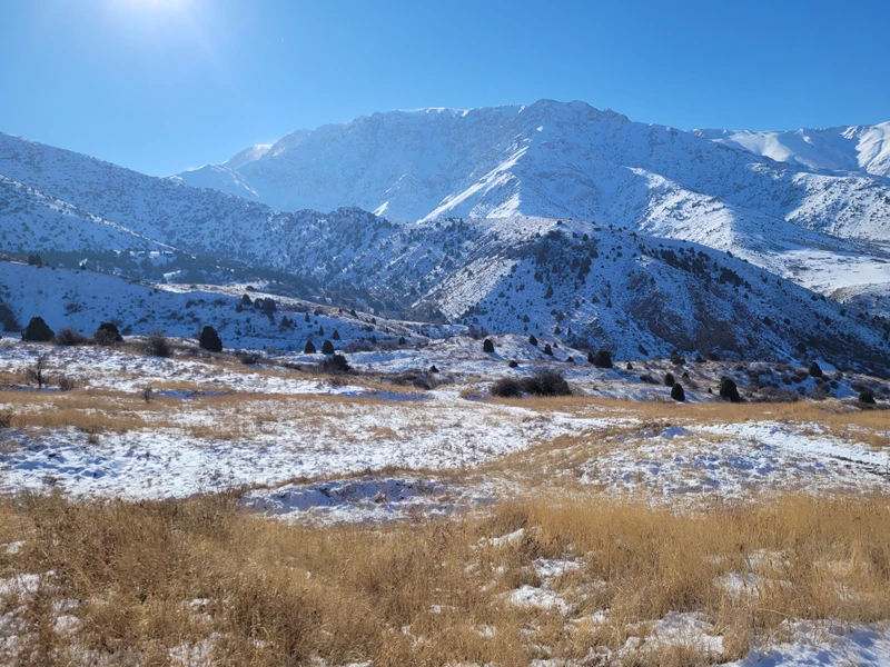 На лошадях по Западному Тянь-Шаню
