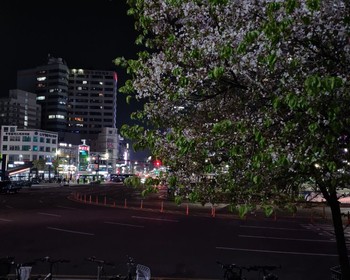 Фото отзыва 1: авторский тур "Осеннее путешествие в Южную Корею: колоритный Сеул и морской Пусан"