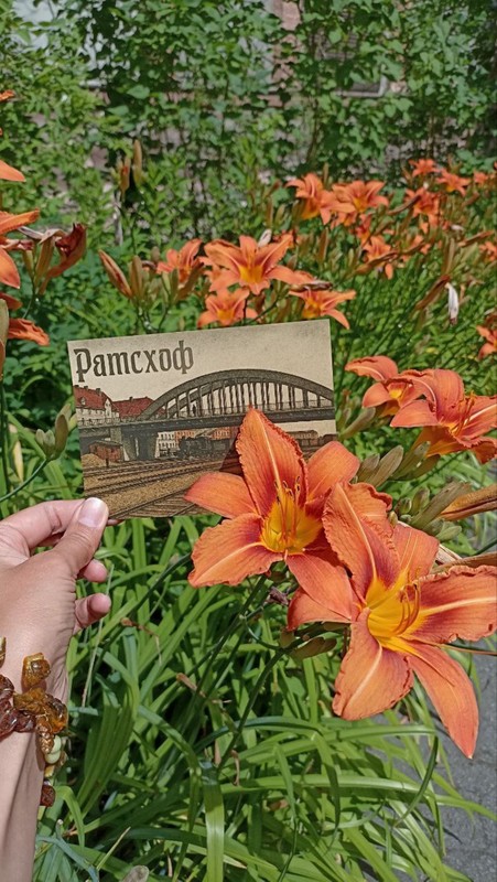 Следующая станция - Ратсхоф