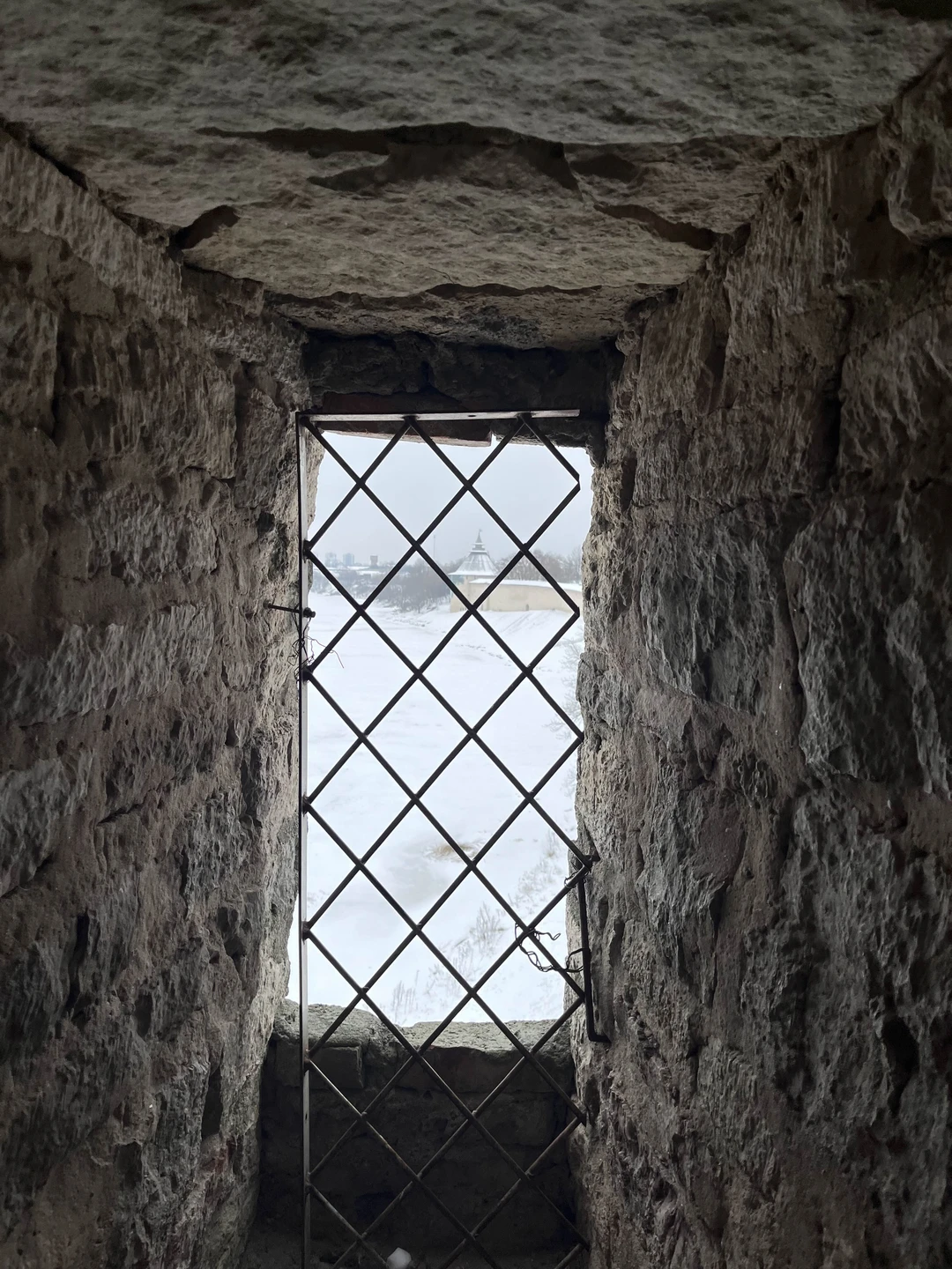 Псковский кремль и ближнее Запсковье (Андрей)