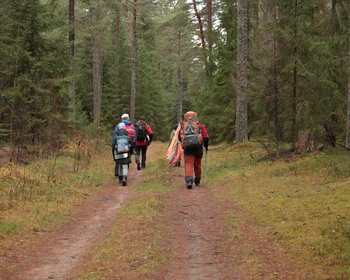Через поля и лес к «Усадьбе Знаменское-Раёк»