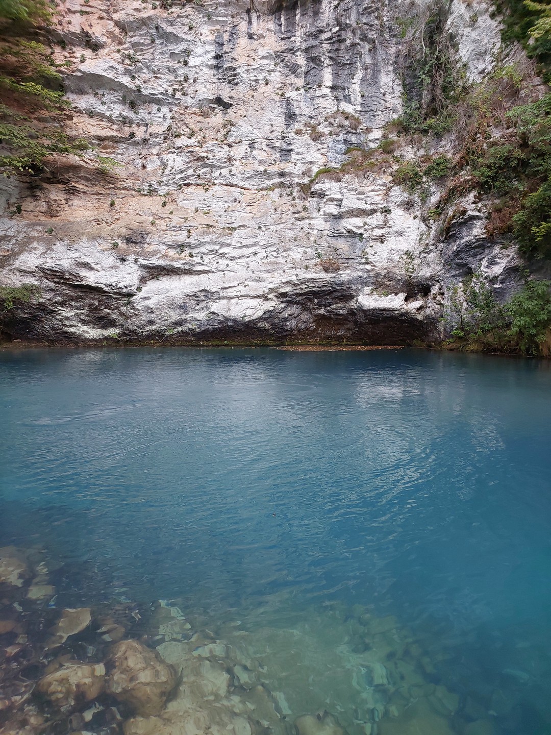 Тур на озеро Рица - к символу Абхазии (Артём)