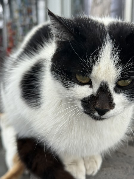 Древние святыни Армении и «наше море» Севан (Екатерина)