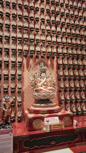 Светлана великолепный гид❤️