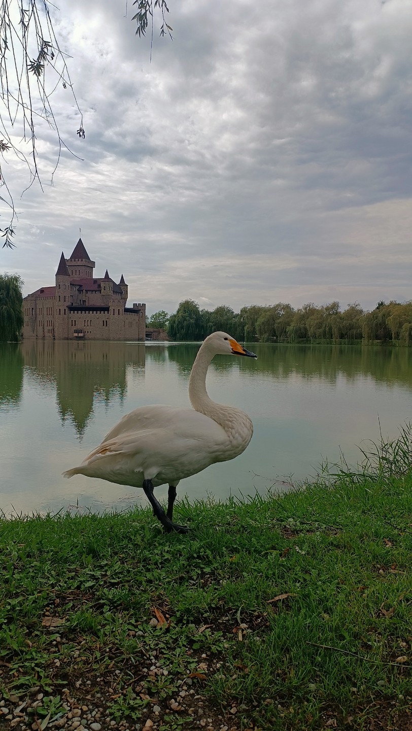 На эту экскурсию я поехала, уже познакомившись с моим гидом Русланом и Альбертом и их командой)