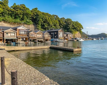 Свободный день и программа на выбор