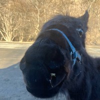 Фото отзыва 1: экскурсия "Домбай и его живописные окрестности — в мини-группе"