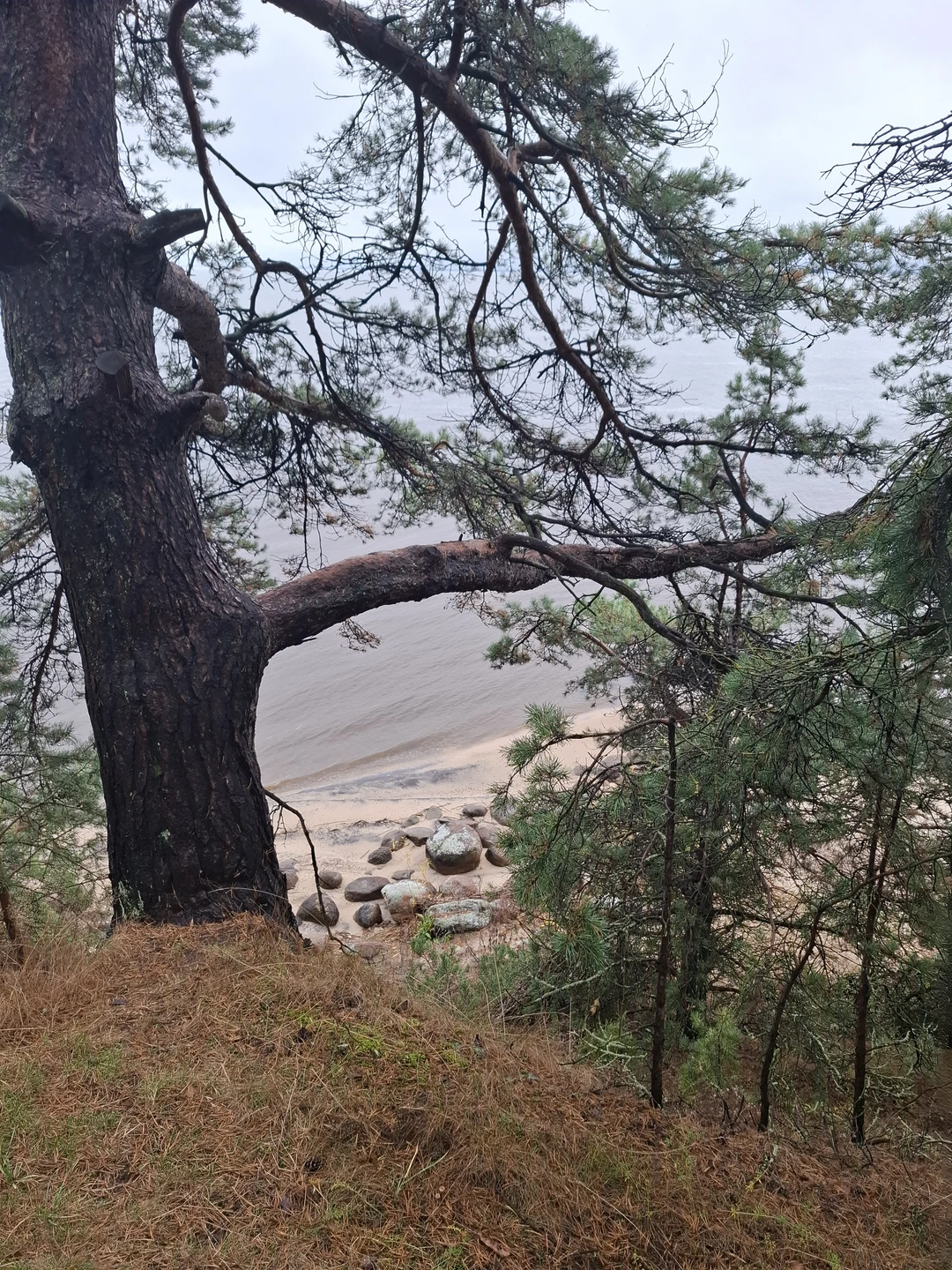 Побывали с семьей 5 человек с детьми 31.10.25. Интересная экскурсия. К островам можно попасть только по