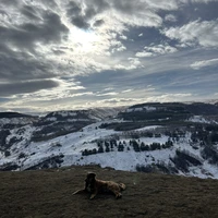 Фото отзыва 1: экскурсия "Групповая конная прогулка и мастер-класс по седланию лошади"