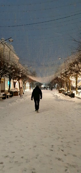 Смоленск и Польша (Александр)