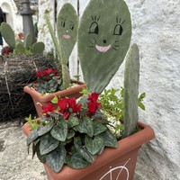 reviews img