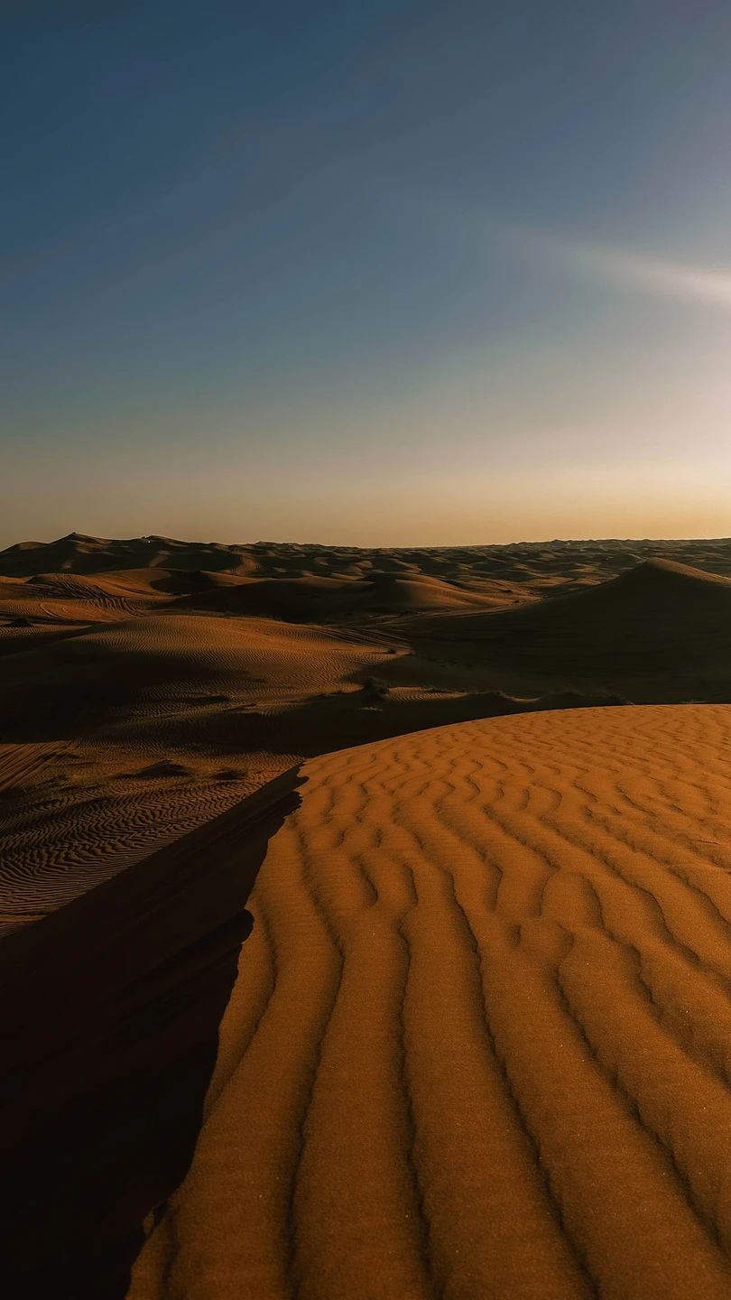 Пустыне ставлю 10/10, очень красивые пейзажи, Атмосфера чудесная