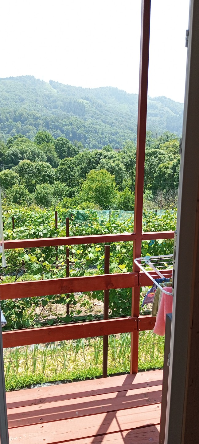 Женское счастье: отдых, правильное питание и проживание с видом на горы