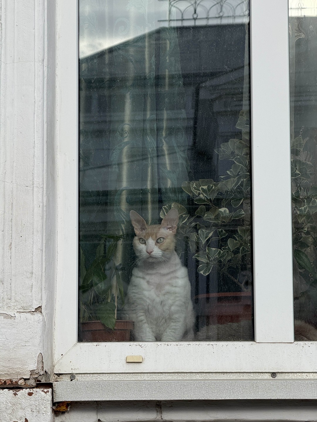 Превосходная экскурсовод! Очень структурировано рассказано о городе, интересно и нам - взрослым, и довольно привередливому подростку