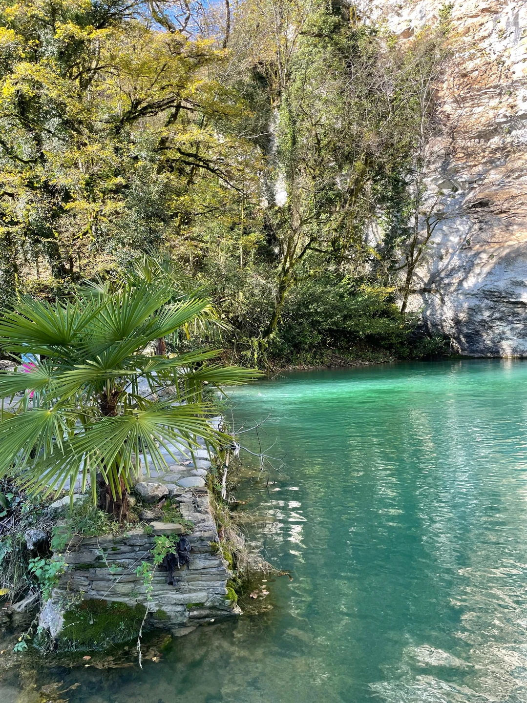 Я в полном восторге от однодневной экскурсии в Абхазию! Этот день стал поистине незабываемым путешествием. Великолепные