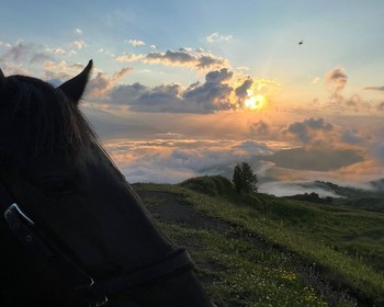 Продолжение конного похода