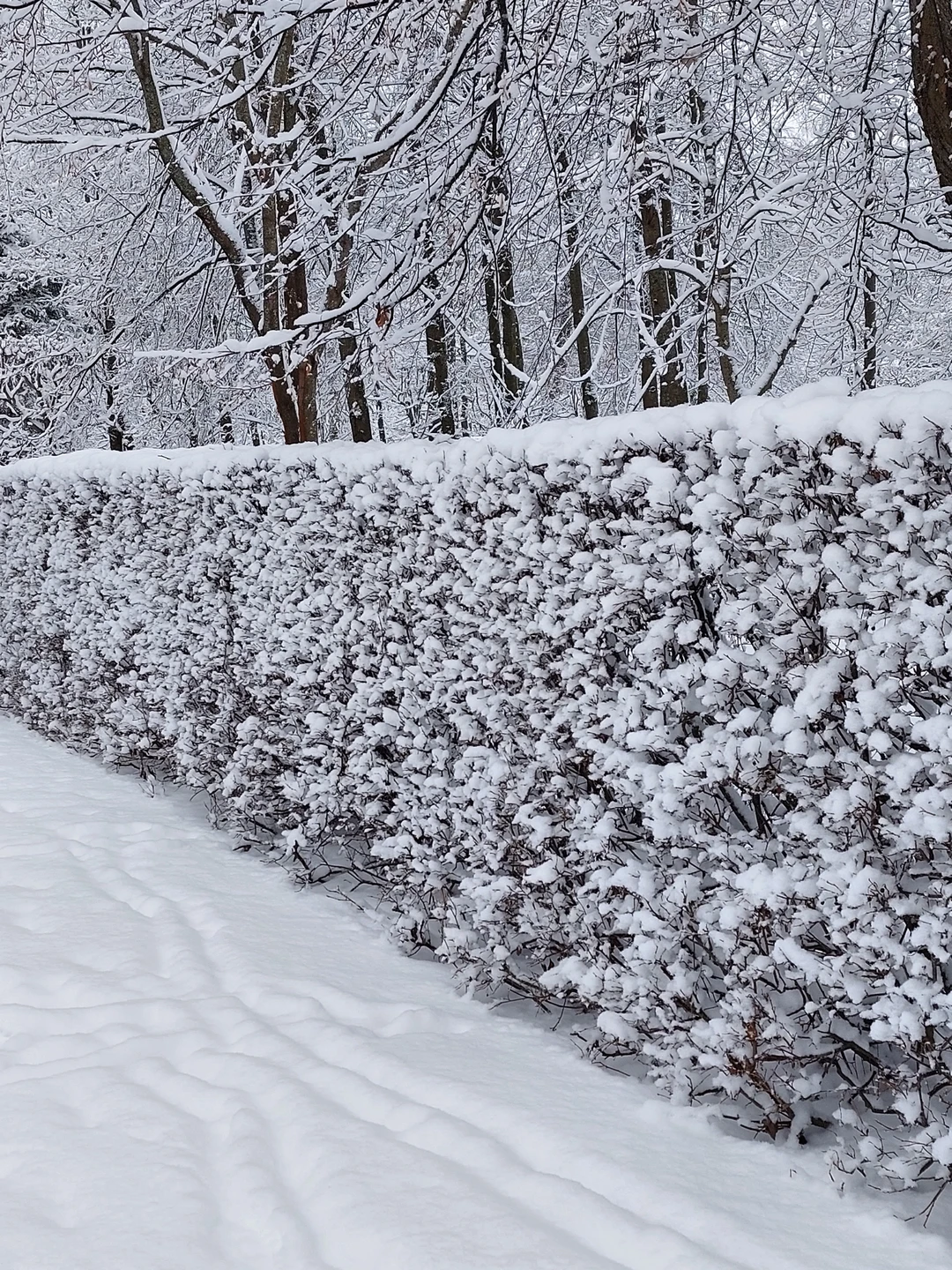 Петергоф: групповая экскурсия в Большой дворец (Светлана)